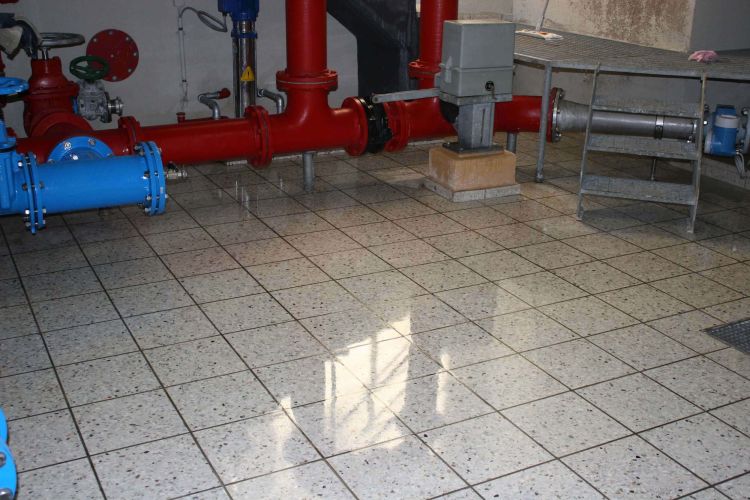 Natursteinveredelung Steinboden - Nachher