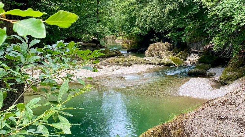 Feng Shui Beratung von Raum DNA
